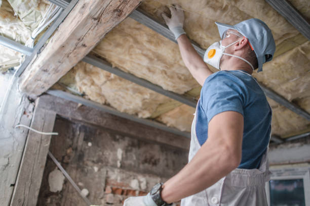 Best Eco-Friendly Insulation in Whitefish Bay, WI
