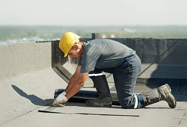 Best Geographic-Specific Insulation Services in Whitefish Bay, WI