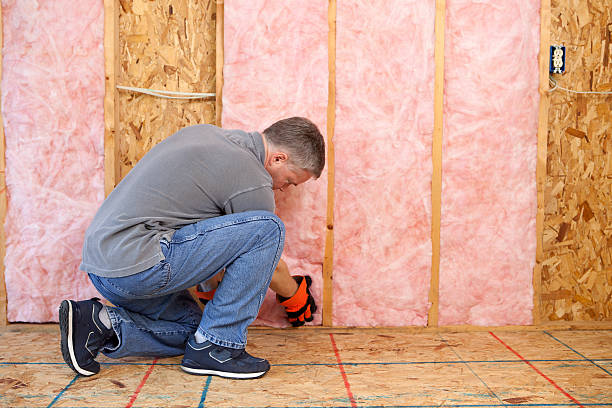 Best Specialized Insulation Services in Whitefish Bay, WI